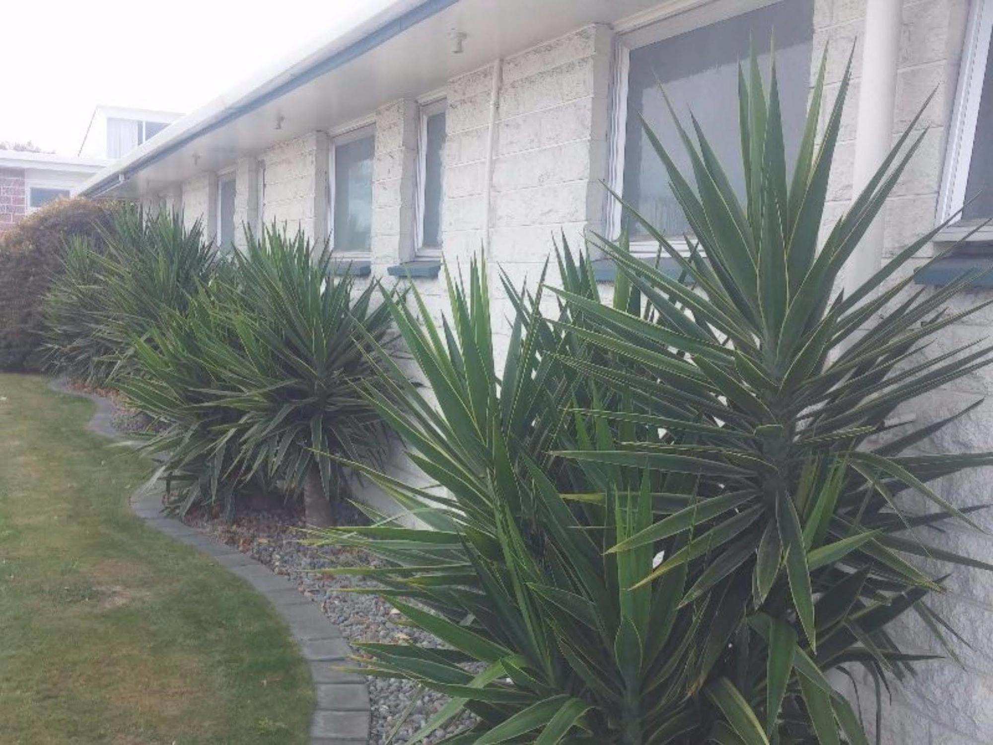 Raymar Motor Inn Blenheim Luaran gambar